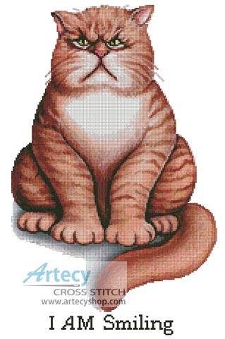 cross stitch pattern I am Smiling