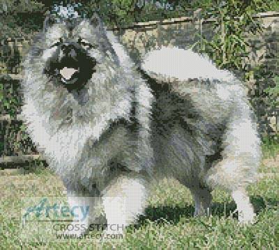 cross stitch pattern Keeshond