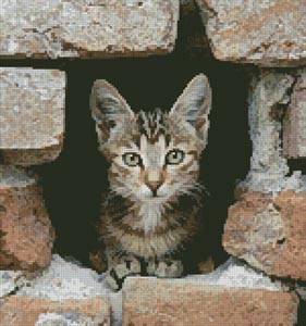 cross stitch pattern Kitten in Wall