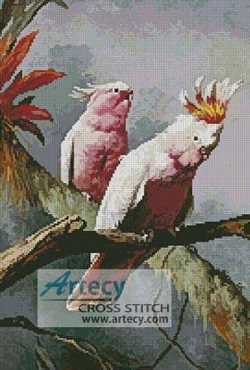 cross stitch pattern Leadbeater Cockatoos
