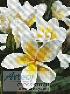cross stitch pattern Mini Frangipani