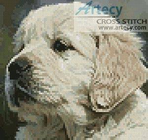 cross stitch pattern Mini Golden Retriever Puppy