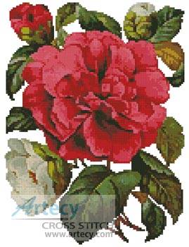 cross stitch pattern Pink Camellia