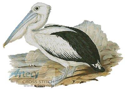 cross stitch pattern Pelican