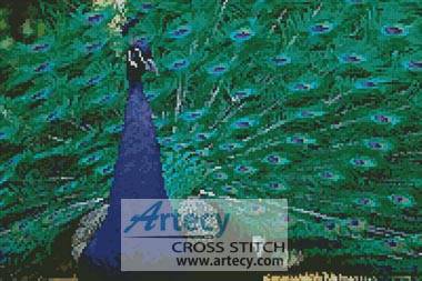 cross stitch pattern Peacock Photo