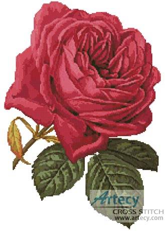 cross stitch pattern Pink Rose