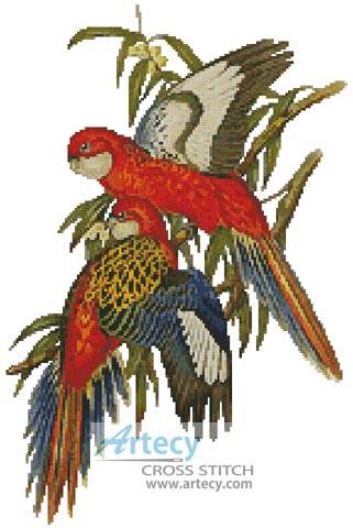 cross stitch pattern Parakeets