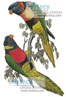 cross stitch pattern Red Collared and Fosters Lorikeets