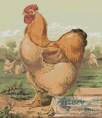 cross stitch pattern Rooster 3