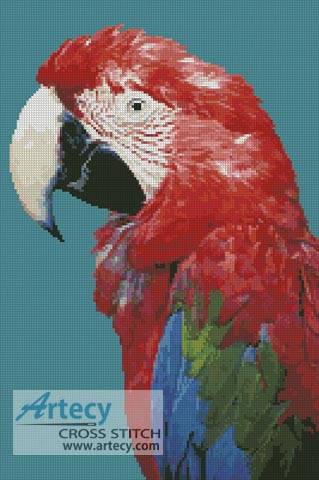 cross stitch pattern Green-winged Macaw
