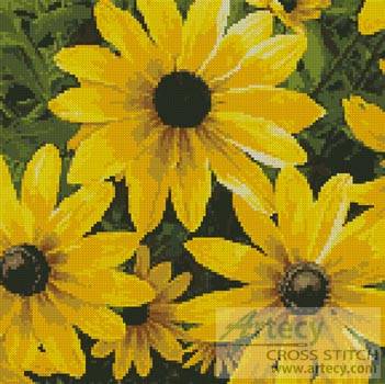 cross stitch pattern Black-eyed Susan