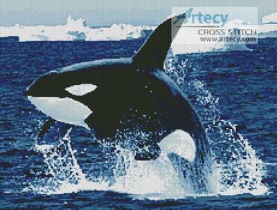 cross stitch pattern Whale 1