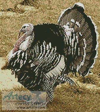 cross stitch pattern Wild Turkey