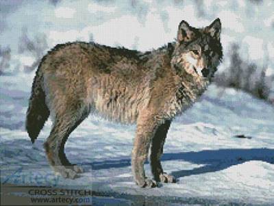 cross stitch pattern Wolf 4