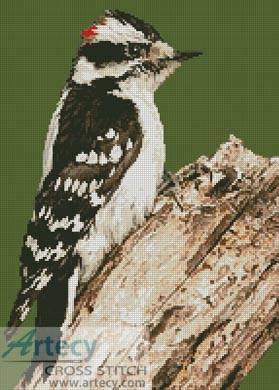 cross stitch pattern Woodpecker