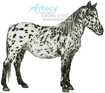 cross stitch pattern Appaloosa