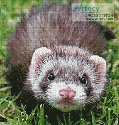 cross stitch pattern Ferret