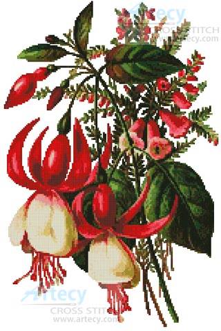 cross stitch pattern Fuschia 3