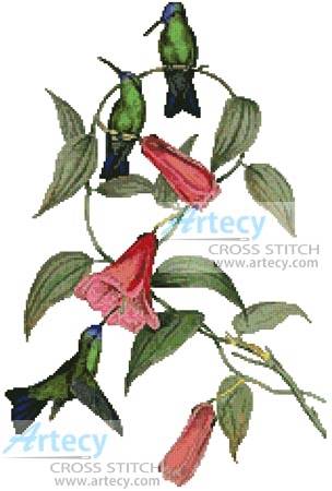 cross stitch pattern Green and Blue Sapphire Hummingbirds