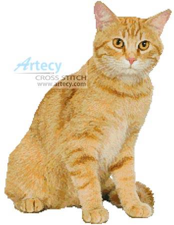 cross stitch pattern Ginger Cat