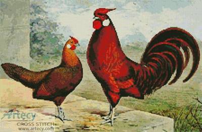 cross stitch pattern Gold Pencilled Hamburghs