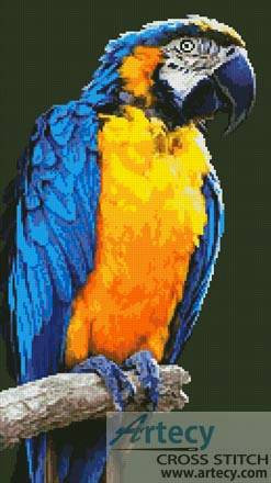 cross stitch pattern Macaw