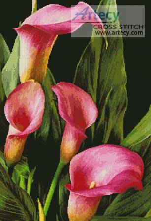 cross stitch pattern Pink Calla Lilies