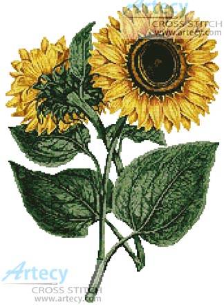 cross stitch pattern Sunflowers