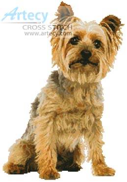 cross stitch pattern Silky Terrier