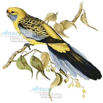 cross stitch pattern Yellow Rumped Parakeet