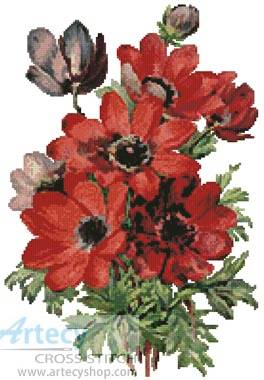 cross stitch pattern Anemones