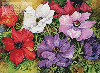 cross stitch pattern Colourful Anemones