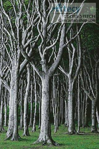 cross stitch pattern Beech Trees