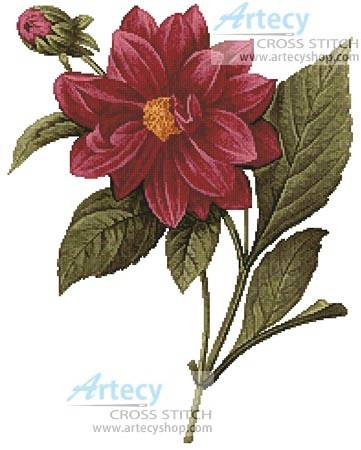 cross stitch pattern Dahlia Double