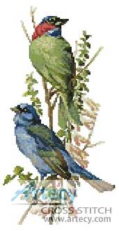 cross stitch pattern Finch and Blue Bird