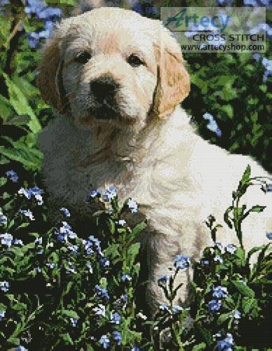 cross stitch pattern Golden Retriever Forget-me-not