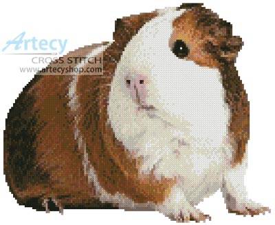 cross stitch pattern Guinea Pig