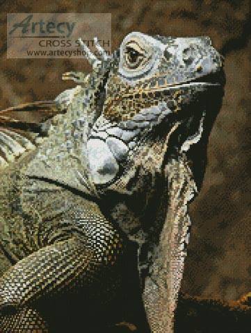 cross stitch pattern Iguana