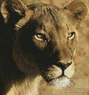 cross stitch pattern Lioness Close Up