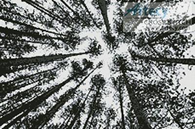cross stitch pattern Looking up at Pine Trees