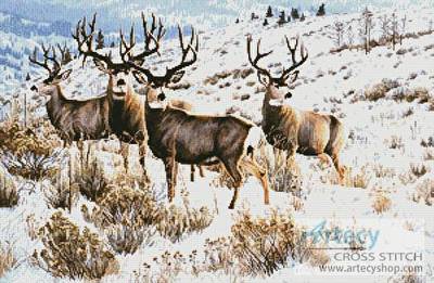 cross stitch pattern Members Only