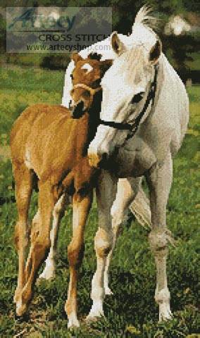 cross stitch pattern Mare and Foal Photo