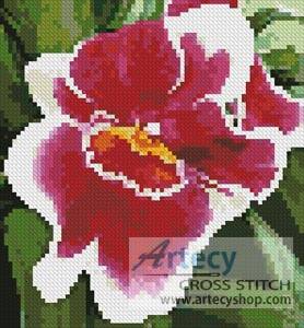 cross stitch pattern Mini Red and White Orchid