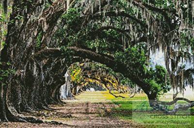 cross stitch pattern Oak Tree Path