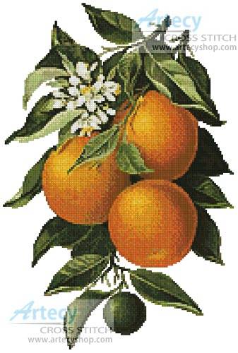 cross stitch pattern Oranges