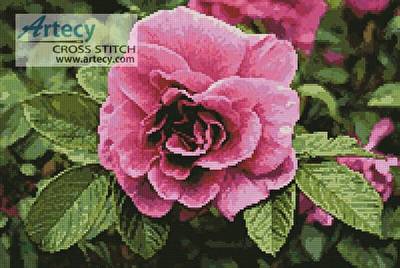 cross stitch pattern Pink Rose Photo