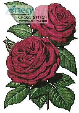 Pink Rose Pattern