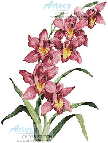 cross stitch pattern Pink Cymbidium
