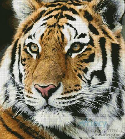 cross stitch pattern Siberian Tiger