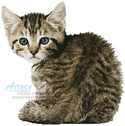 cross stitch pattern Timid Kitten